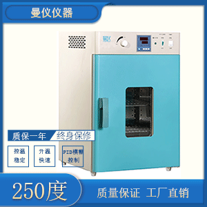 鼓风干燥箱DHG9240A