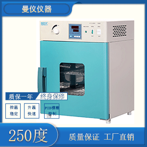 鼓风干燥箱DHG9030A