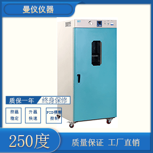 鼓风干燥箱DHG9920A