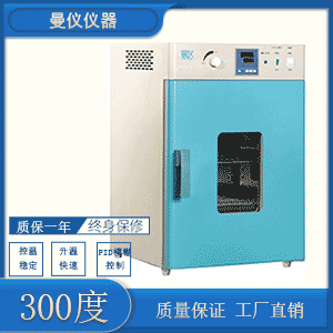 300度鼓风干燥箱DHG9245A