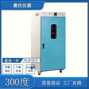 300度鼓风干燥箱DHG9925A