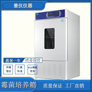 霉菌培养箱MJX500