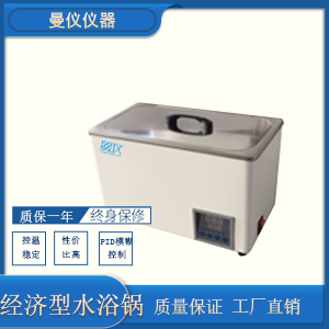 经济型水浴锅WBA26